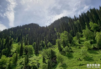 自駕補(bǔ)發(fā)