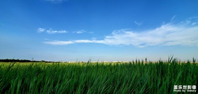 三星S10隨手拍(自動(dòng)濾鏡)