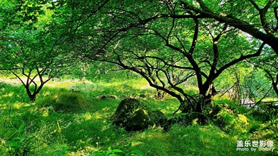 大坪山風(fēng)景隨拍