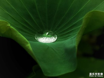 【記錄此刻】+被吸引的那一瞬間