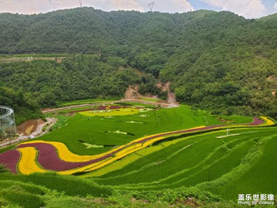 周末戶外活動(dòng)