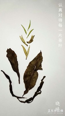 【記錄此刻】+認(rèn)真生活