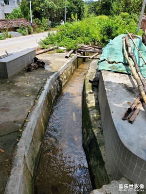 【生活隨手拍】+ 寧靜的夏天