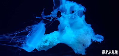 水族館