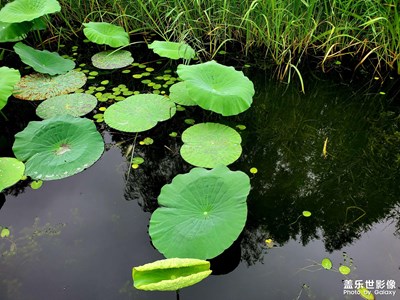 【生活隨手拍】+公園賞景