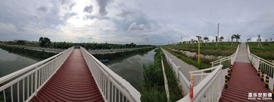 【生活隨手拍】夏日