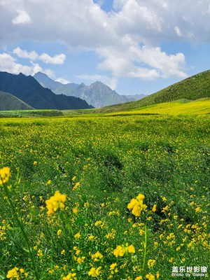 這里是＋甘青大環(huán)線第十一站 扁都口