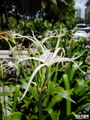 隨手拍隨手拍幾張