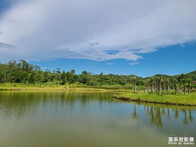 雨過天晴?金星湖濕地公園