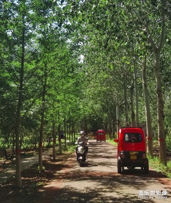 【這里是】郊野公園二