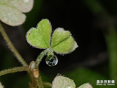 雨后