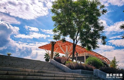 【初秋印象】+艷陽綠意襯藍天