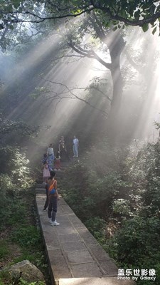 沒錯，只是讓人艷羨