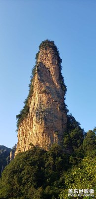 張家界國家森林公園