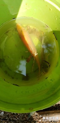 【發(fā)現(xiàn)生活發(fā)現(xiàn)美】＋  日常生活照吧