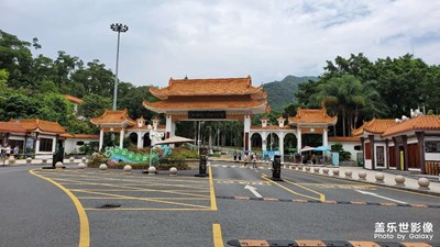 游仙湖植物園隨拍