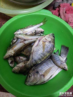 【身邊小景】＋秋天隨便拍拍