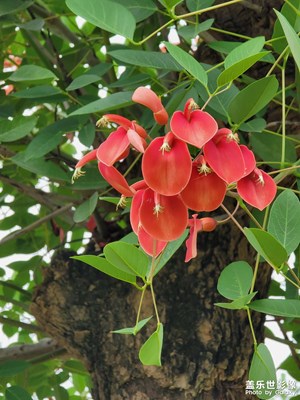 【我的腳步】+雨來(lái)了