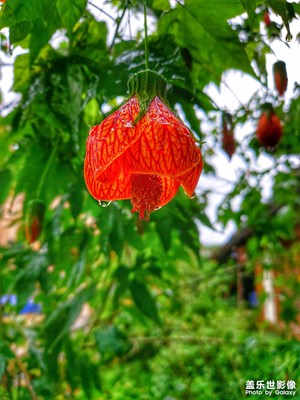 【我的腳步】秋色