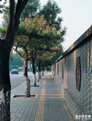 【我的腳步】路過的風景