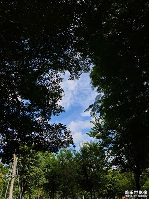 【美好速記】+ 酷暑已過，秋天正在來了