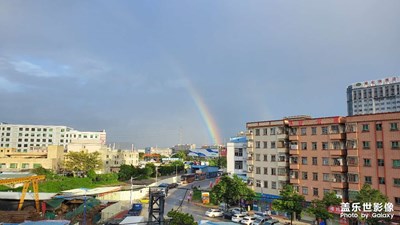 沒好的一天又開始了。