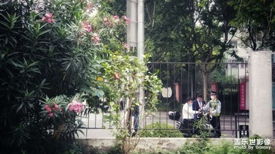 請(qǐng)掃臉支付罰款