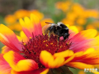 花的季節(jié)，讓我們一路賞花