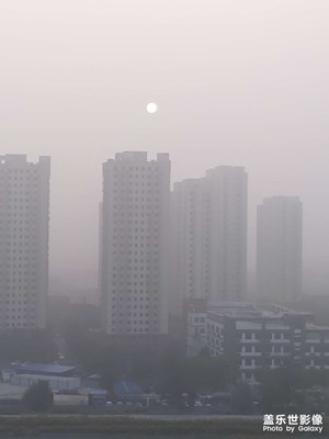 【天下秋】朝陽(yáng)