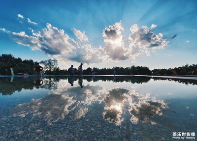 植物園風(fēng)光