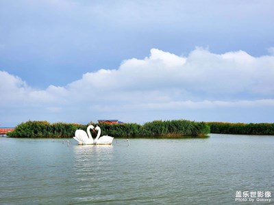 【假日麗影】+烏梁素海