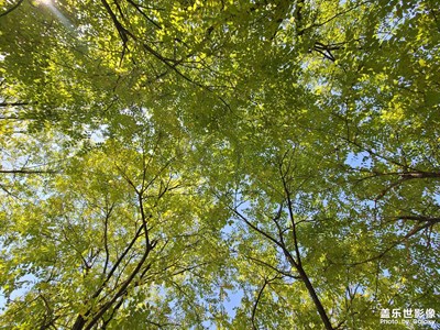 國慶假期尋秋記