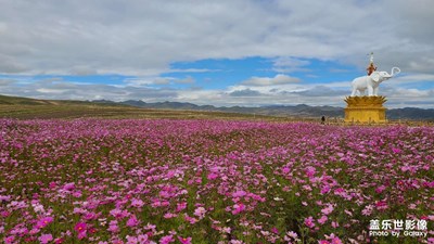 假日麗影——十一甘南行