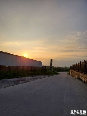 【假日麗影】落日余暉