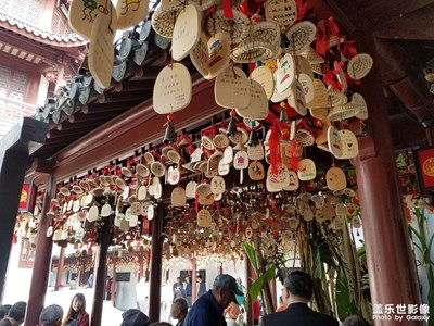 【假日麗影】+家園美景