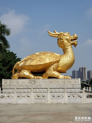 【我生活的地方】+沒落的東莞