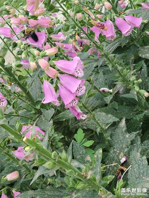 生活在發(fā)現(xiàn)