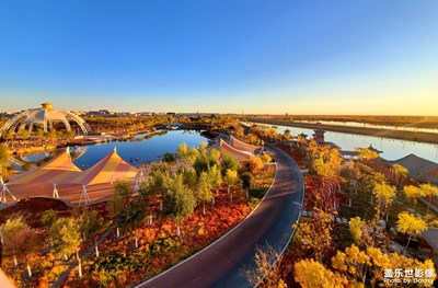 蒼天般的阿拉善之一公園掠影