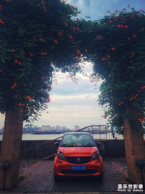 花與車，江與岸