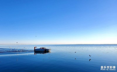 蒼天般的阿拉善之四居延海