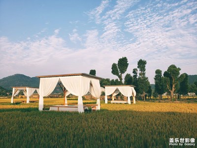 【多彩深秋】＋收獲的季節(jié)