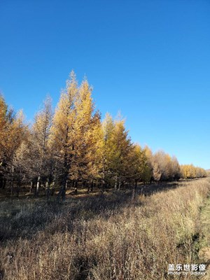 內(nèi)蒙古秋景隨拍