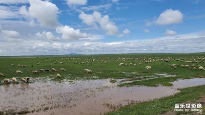 呼倫貝爾大草原（5）