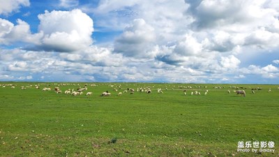呼倫貝爾大草原（2）