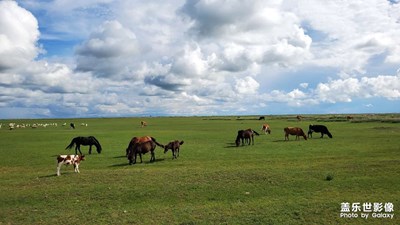 呼倫貝爾大草原（3）