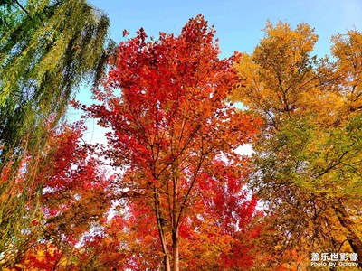 【多彩深秋】家鄉(xiāng)秋色