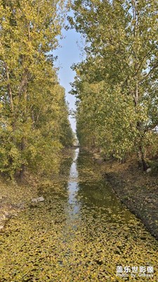 不知不覺已到了深秋