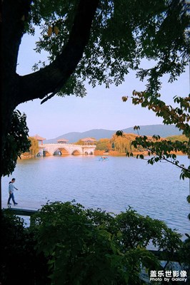 【花花世界】+  秋，云龍湖