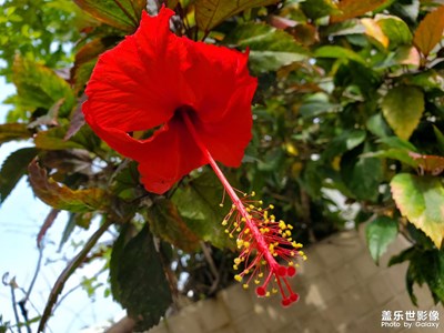 【花花世界】偶遇