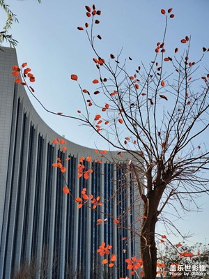 【花花世界】+愛在深秋